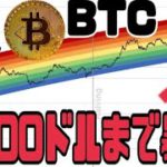 ビットコイン（BTC）5000ドルまで暴落？25万ドルまで上昇説も踏まえ考察。