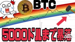 ビットコイン(BTC)5000ドルまで暴落?25万ドルまで上昇説も踏まえ考察。