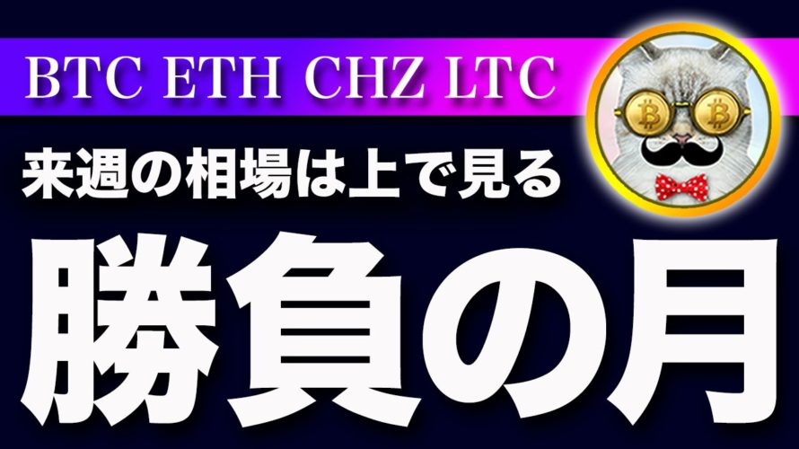 【来週は上で見ます】ビットコイン・FOMCでのサプライズはなし!来週は金利安株高に動くと思います!【仮想通貨・戦略を先出しで毎日更新】