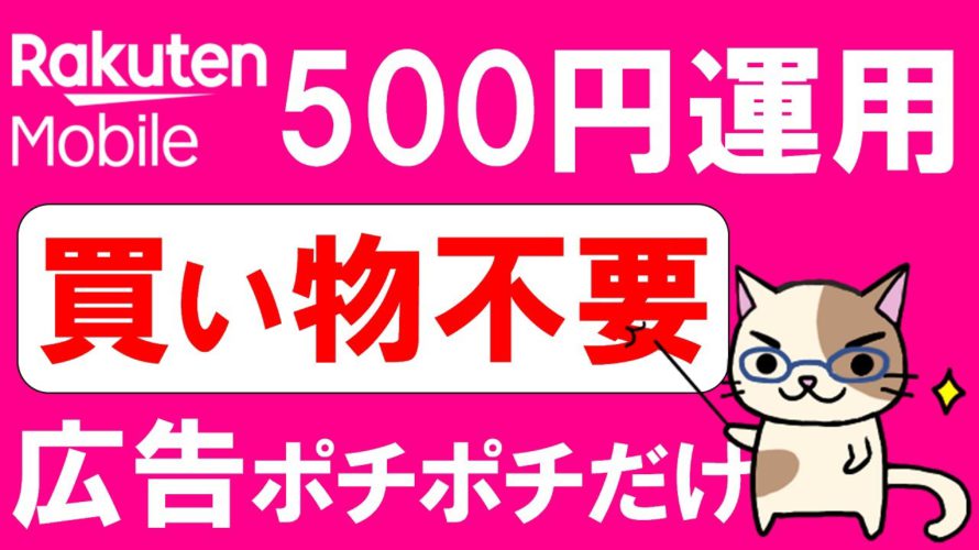 楽天モバイルワンコイン運用！超簡単に楽天ポイントをゲット→ポイント支払いで月々の携帯電話料金を節約☆