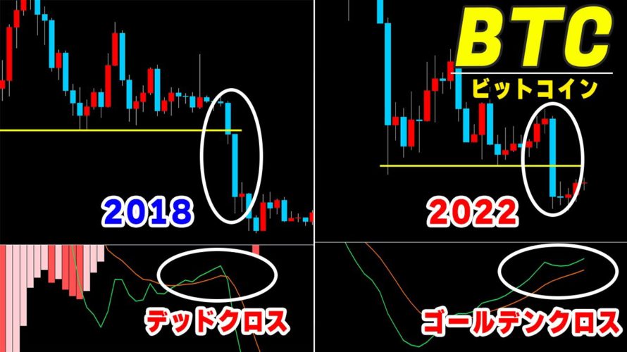 【仮想通貨ビットコイン】トレ転宣言しますとその根拠