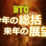 ビットコイン：今年の総括と来年の展望