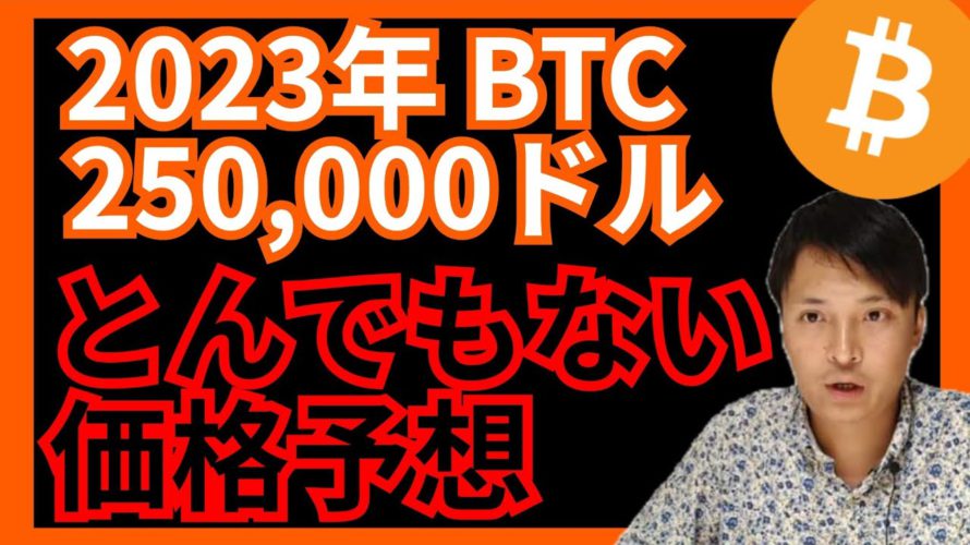 【衝撃】2023年 BTC 25万ドル(3,300万円)⚡とんでもない価格予想 #仮想通貨 #ビットコイン