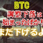 ビットコインの調整下落は始まったばかり。まだ下げるよ。