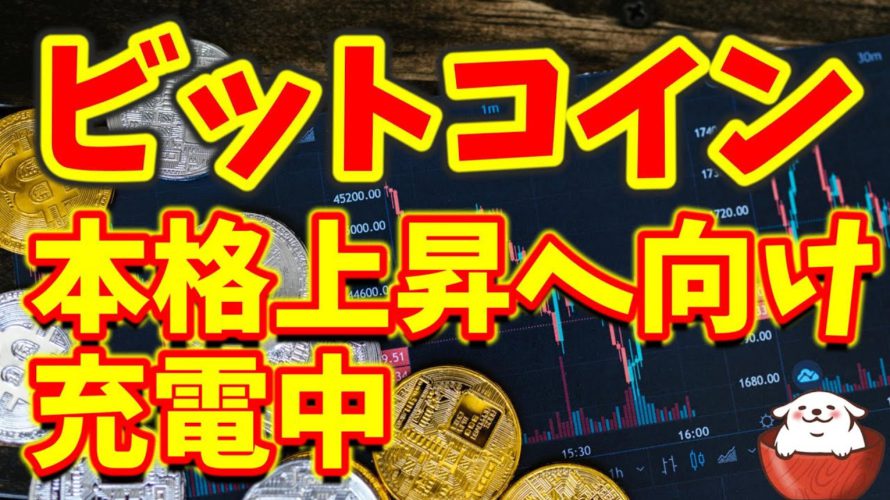【仮想通貨 ビットコイン】2023年どれだけ積み立てれるかで運命は大きく変わる(朝活配信1030日目 毎日相場をチェックするだけで勝率アップ)【暗号資産 Crypto】
