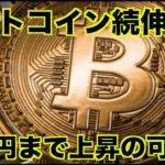 ビットコインの上昇は続く！2030年には一億円を超える？