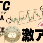 9月に半減期予定のモナコインに爆上げシグナル【仮想通貨BTC,MONA,GMT,GCAKE】