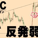 【仮想通貨BTC,ETH,ADA】このあとの値動きで方向が決まる。アルトの銘柄の選び方