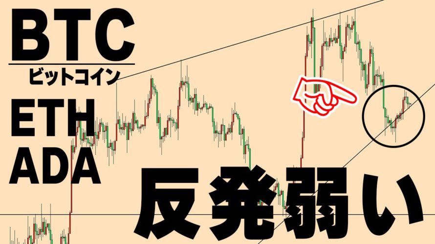 【仮想通貨BTC,ETH,ADA】このあとの値動きで方向が決まる。アルトの銘柄の選び方