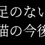 😼【野良猫を救え】猫の支援ありがとうございます　#足のない猫 　#野良猫　#猫の家