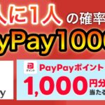 1/2の確率でPayPayポイント1000円当たる！&まさかの商品が無料で貰える…