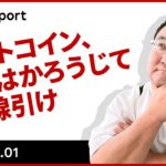 ビットコイン、2月はかろうじて陽線引け