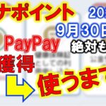 2023年9月30日期限間近！マイナポイント申請～利用するまで！マイナンバーカードとスマホで申請してPayPayで受け取りたい！マイナポイント第二弾