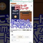 【所得税をお得に払う方法】ポイ活民ならみんな知ってる「スマホアプリ納付」決済手数料なしのamazon payでクレジットカードのポイントをガッツリ奪取！