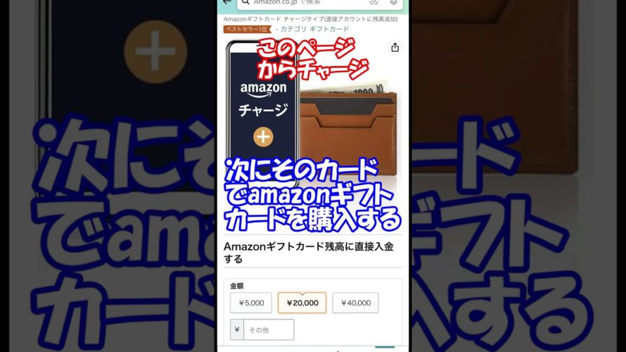 【所得税をお得に払う方法】ポイ活民ならみんな知ってる「スマホアプリ納付」決済手数料なしのamazon payでクレジットカードのポイントをガッツリ奪取!