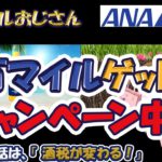 【これを逃すな！】お得に、軽く大量マイルをゲット！ほんの少し使うだけで、東南アジア往復の航空券が手に入る‼