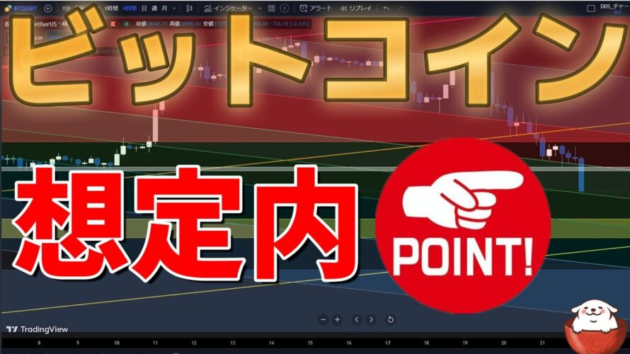 【仮想通貨 ビットコイン】今回の下落は想定内の範疇 短期下落で追随も良し！下げ止まりを待つのも良し！（朝活配信1087日目 毎日相場をチェックするだけで勝率アップ）【暗号資産 Crypto】