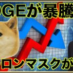 イーロンが暴挙！DOGEコインが暴騰！