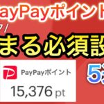 【〇〇を押すだけ】PayPayポイントが貯まりすぎる必須設定5選