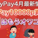 【最新情報】PayPayの〇〇がスタート‼︎PayPayはもうオワコンなのか…⁉︎