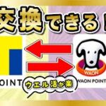 TポイントとWAON POINTが交換可能に！ウエル活が楽になる