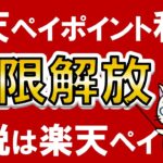 【楽天経済圏】納税最強楽天ペイ！楽天ポイント＆楽天キャッシュ利用の上限大幅UP！ポイント利用＆ポイント還元で固定資産税や自動車税支払い！！