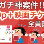 【ガチ神案件】無料でこんなに配って大丈夫なの…⁉︎