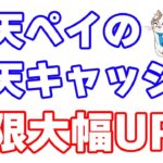 楽天ペイの楽天ポイント・楽天キャッシュによる１回あたりの支払い上限金額が大幅アップ！これで高額な請求書支払いも完全に楽天ペイ一択に！