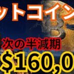 【超重要】ビットコイン、次の半減期に16万ドル(約2,000万円)の理由 【仮想通貨BTC】