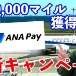 【速報】ANA Pay新キャンペーン解説✈️最大10,000マイル獲得可能💰