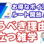 ANA Payにより生まれた新ポイ活ルート『楽天ペイ5.5%還元』を解説！電話問い合わせの内容報告、まだ誰も知らないセキュリティ設定方法、ANA Payが利用可能なコード決済・電子マネーも教えます