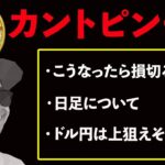 BTC続落で一気に含み損転落📉