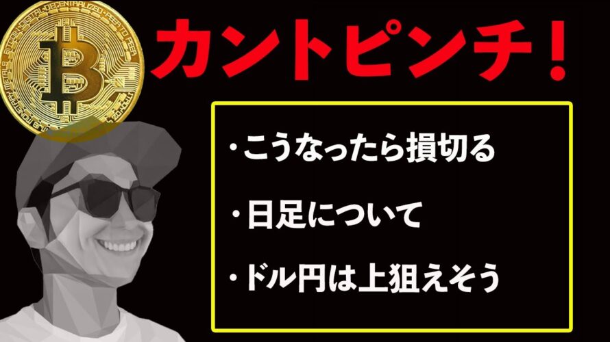 BTC続落で一気に含み損転落📉