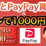 無料で〇〇とPayPayが貰える…⁉︎＆アマギフが貰える隠れキャンペーン‼︎