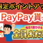 まさかの〇〇で毎日PayPayゲット‼︎GWが激アツすぎる…