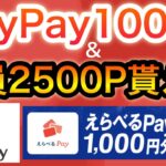 これでPayPay、dポイント1000円分貰える！&毎月アマギフの新キャンペーン‼︎