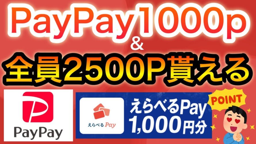 これでPayPay、dポイント1000円分貰える!&毎月アマギフの新キャンペーン‼︎