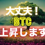 大丈夫！ビットコインは上昇します