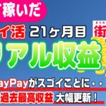 #66-P【ポイ活】楽して継続的にどのくらい稼いだか！？（検証1年9ヶ月目）【リアル収益】