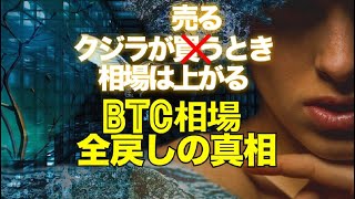 クジラが売るとき相場は上がる!【BTC相場全戻しの真相】