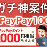 【ヤバい方法見つけた…】コレでPayPay1000円もらえます