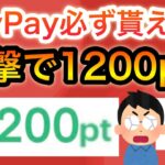 〇〇でPayPayポイント必ず貰える‼︎＆一撃1200p貰える方法も！