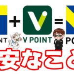 Tポイント・Vポイントが合体『青と黄色のVポイント』誕生！明らかに価値の釣り合わない２つのポイントが統合後にどうなるのか…？ウエル活では使えなくなるかも…？