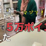 ポイ活初心者主婦。節約の為と始めたら思った以上にお得にポイント入ってきた。