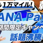 【知らないと損】新しいANA payで10,000マイル(または1万円分の電子マネー)貰う方法を解説！期間限定のお得なキャンペーンが話題沸騰中