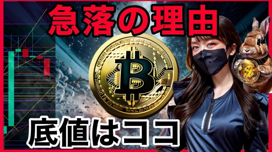 【BTC分析】ビットコイン急落の理由とは？ 週足崩壊。テクニカル❌ファンダメンタルズ徹底解説