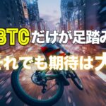 ビットコインだけが足踏み。それでも期待は大