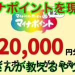 マイナポイントを現金化・プーさんがやり方教えます