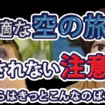 【お得に香港！】ハロー香港！わんさんは応募したのか！？