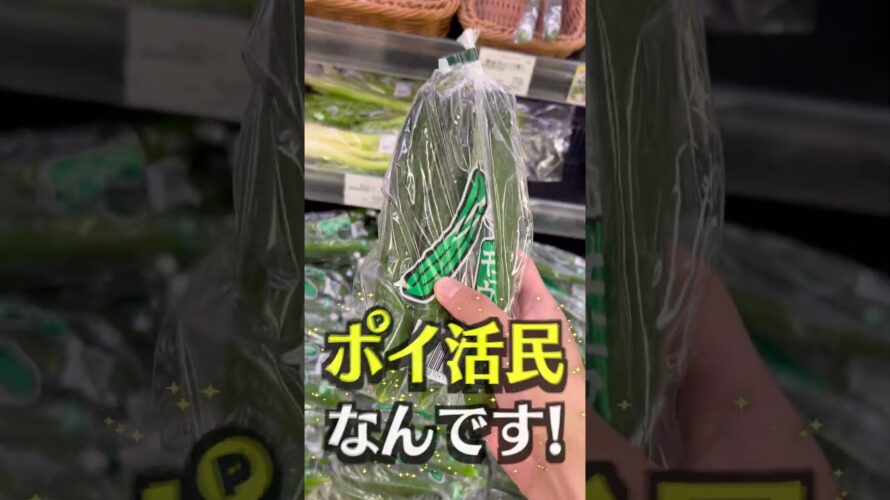 【0日目】ポイ活で稼いだお金だけで生活してみた